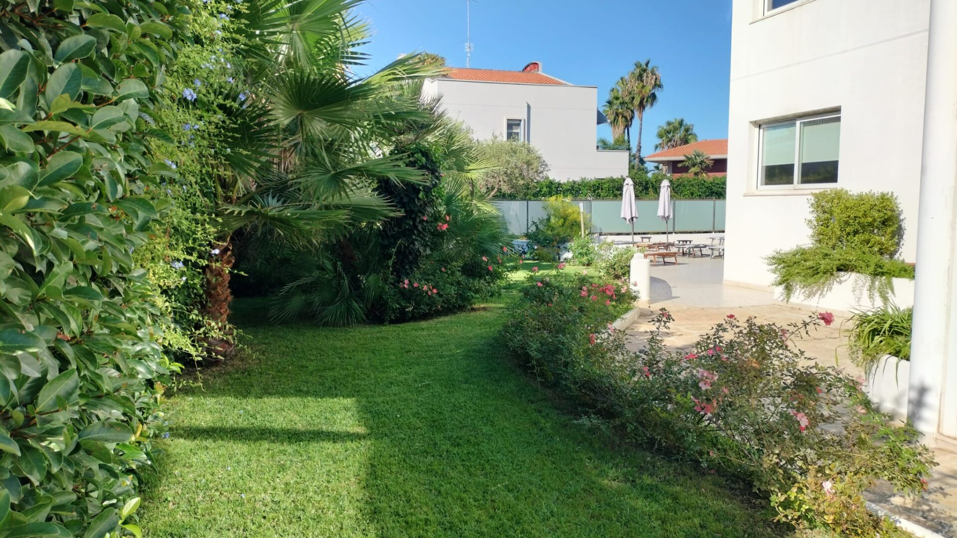 Residence ricettivo con appartamenti e piscina